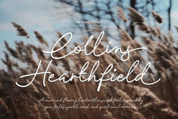Collins Hearthfield: A Designer's Real-World Review