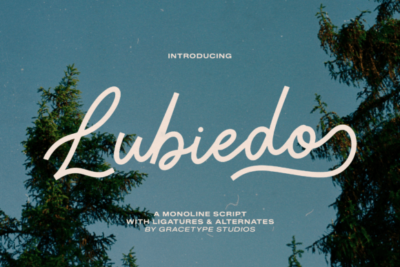 Lubiedo: A Timeless Script Font for Your Brand
