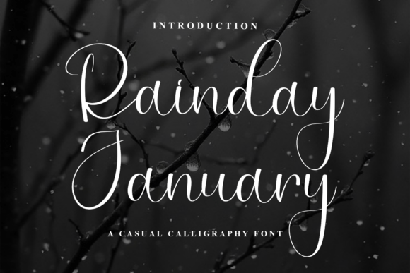 Rainday January: An Elegant Script Font for Crafters