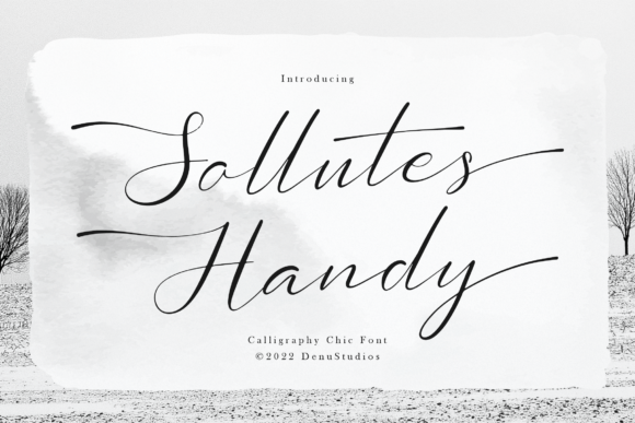 Sollutes Handy Typeface for Web Design